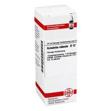 Abbildung: GRINDELIA ROBUSTA D 12 Dilution 20 ml, Dilution PZN 02614700 