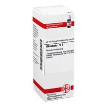 Abbildung: OKOUBAKA D 6 Dilution 20 ml, Dilution PZN 02619005 