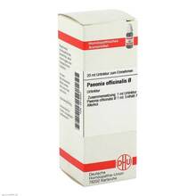 Abbildung: PAEONIA OFFICINALIS Urtinktur 20 ml, Dilution PZN 02619347 