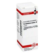 Abbildung: Scrophularia nodosa Urtinktur 20 ml, Dilution PZN 02621605 
