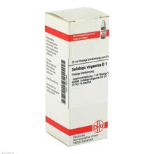 Abbildung: SOLIDAGO VIRGAUREA D 1 Dilution 20 ml, Dilution PZN 02621999 