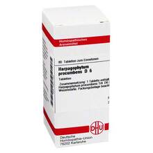Abbildung: HARPAGOPHYTUM PROCUMBENS D 6 Tabletten 80 St, Tabletten PZN 02631153 