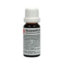 Abbildung: Regenaplex Nr.23 a Tropfen zum Einnehmen 15 ml, Tropfen zum Einnehmen PZN 02642145 