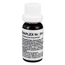 Abbildung: Regenaplex Nr.24 a Tropfen zum Einnehmen 15 ml, Tropfen zum Einnehmen PZN 02642174 