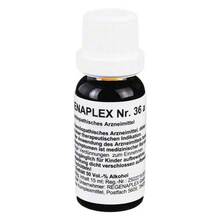 Abbildung: Regenaplex Nr.36 a Tropfen zum Einnehmen 15 ml, Tropfen zum Einnehmen PZN 02642493 