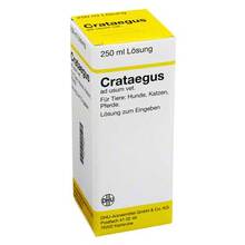 Abbildung: Crataegus Dilution vet. (für Tiere) 250 ml, Dilution PZN 02728243 