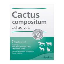 Abbildung: CACTUS COMPOSITUM ad us.vet.Ampullen 5 St, Ampullen PZN 02733913 