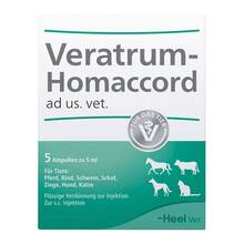 Abbildung: VERATRUM HOMACCORD ad us.vet.Ampullen 5 St, Ampullen PZN 02760198 