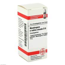 Abbildung: Mandragora E radice siccata D 6 Globuli 10 g, Globuli PZN 02803016 