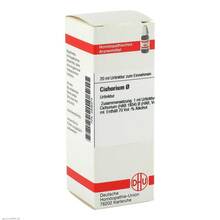 Abbildung: CICHORIUM INTYBUS Urtinktur 20 ml, Dilution PZN 02806374 
