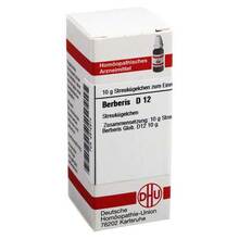  PZN 02812914 10 g, Globuli