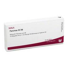 Abbildung: PANCREAS GL D 6 Ampullen 10X1 ml, Ampullen PZN 02829429 