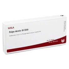 Abbildung: PULPA DENTIS GL D 30 Ampullen 10X1 ml, Ampullen PZN 02831490 