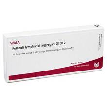 Abbildung: FOLLICULI LYMPHATICI aggregati GL D 12 Ampullen 10X1 ml, Ampullen PZN 02876475 