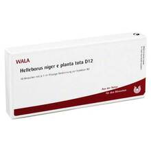 Abbildung: HELLEBORUS NIGER e planta tota D 12 Ampullen 10X1 ml, Ampullen PZN 02884569 