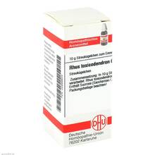  PZN 02889934 10 g, Globuli