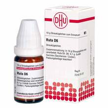 PZN 02890067 10 g, Globuli