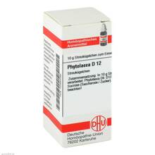 Abbildung: PHYTOLACCA D 12 Globuli 10 g, Globuli PZN 02890096 
