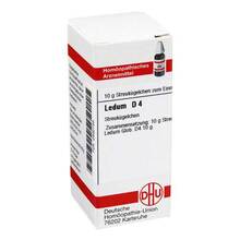 Abbildung: LEDUM D 4 Globuli 10 g, Globuli PZN 02890156 