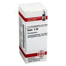  PZN 02890417 10 g, Globuli