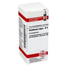 Abbildung: SAMBUCUS NIGRA D 4 Globuli 10 g, Globuli PZN 02890653 