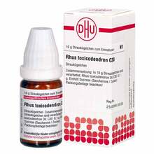 Abbildung: Rhus Toxicodendronicodendron C 30 Globuli 10 g, Globuli PZN 02890713 