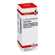 Abbildung: LEDUM EXTERN Tinktur 20 ml, Tinktur PZN 02890788 