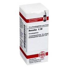 Abbildung: AESCULUS C 30 Globuli 10 g, Globuli PZN 02892385 