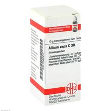 Abbildung: ALLIUM CEPA C 30 Globuli 10 g, Globuli PZN 02892617 