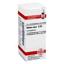 Abbildung: ALLIUM CEPA D 30 Globuli 10 g, Globuli PZN 02892646 