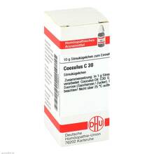  PZN 02896934 10 g, Globuli
