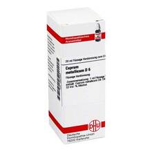 Abbildung: CUPRUM METALLICUM D 6 Dilution 20 ml, Dilution PZN 02897655 