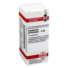  PZN 02898459 10 g, Globuli