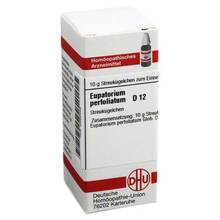 Abbildung: Eupatorium perfoliatum D 12 Globuli 10 g, Globuli PZN 02898465 