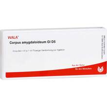 Abbildung: CORPUS AMYGDALOIDEUM GL D 5 Ampullen 10X1 ml, Ampullen PZN 02915123 
