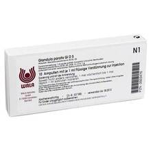 Abbildung: GLANDULA PAROTIS GL D 5 Ampullen 10X1 ml, Ampullen PZN 02923476 
