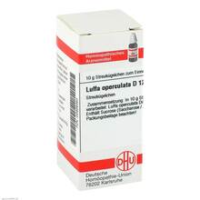 Abbildung: Luffa operculata D 12 Globuli 10 g, Globuli PZN 02926463 