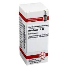 Abbildung: PHYTOLACCA C 30 Globuli 10 g, Globuli PZN 02929154 