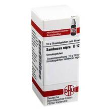 Abbildung: SAMBUCUS NIGRA D 12 Globuli 10 g, Globuli PZN 02930720 
