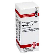 Abbildung: SPONGIA C 30 Globuli 10 g, Globuli PZN 02931671 