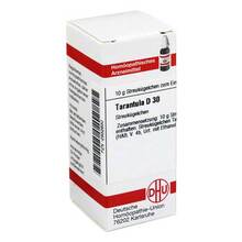 Abbildung: TARANTULA D 30 Globuli 10 g, Globuli PZN 02932630 