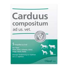 Abbildung: CARDUUS COMPOSITUM ad us.vet.Ampullen 5X5 ml, Ampullen PZN 03042424 
