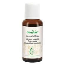 Abbildung: Lavendel Öl fein 30 ml, Öl PZN 03348092 