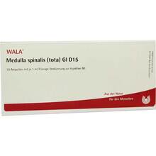 Abbildung: MEDULLA SPINALIS tota GL D 15 Ampullen 10X1 ml, Ampullen PZN 03356275 