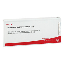 Abbildung: GLANDULAE SUPRARENALES GL D 12 Ampullen 10X1 ml, Ampullen PZN 03356803 