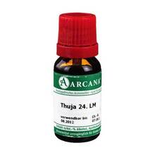 Abbildung: THUJA LM 24 Dilution 10 ml, Dilution PZN 03502794 