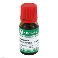 Abbildung: GELSEMIUM SEMPERVIRENS LM 30 Dilution 10 ml, Dilution PZN 03504511 