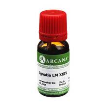 Abbildung: IGNATIA LM 24 Dilution 10 ml, Dilution PZN 03504712 