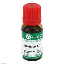 Abbildung: KALMIA LM 12 Dilution 10 ml, Dilution PZN 03504876 