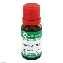 Abbildung: KALMIA LM 30 Dilution 10 ml, Dilution PZN 03504899 